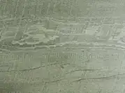 Green Oak surface